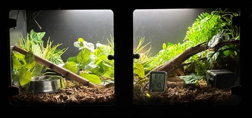 Premium Habitats for Professional Keepers